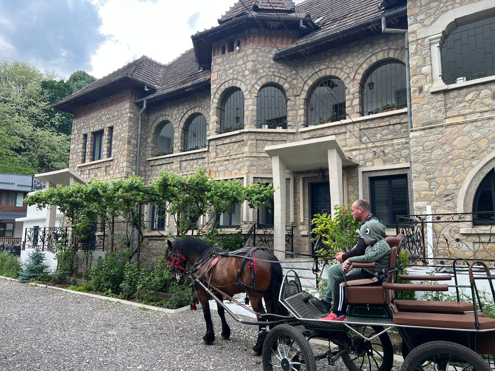 Horse & Buggy Riding